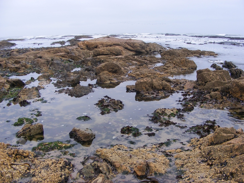 TravellingMan | Swakopmund