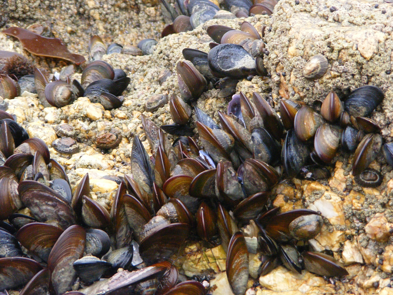 TravellingMan | Swakopmund