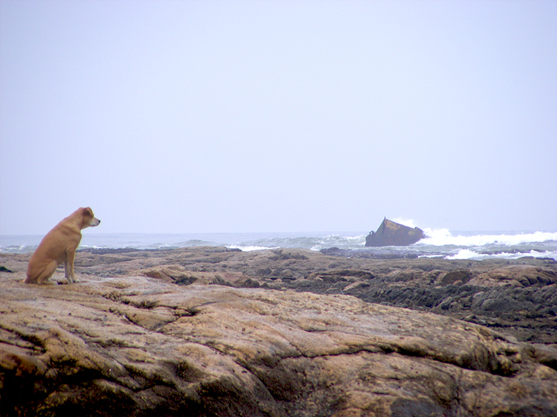 TravellingMan | Swakopmund