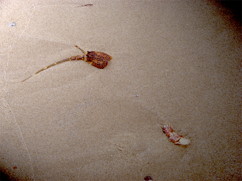 TravellingMan | Swakopmund