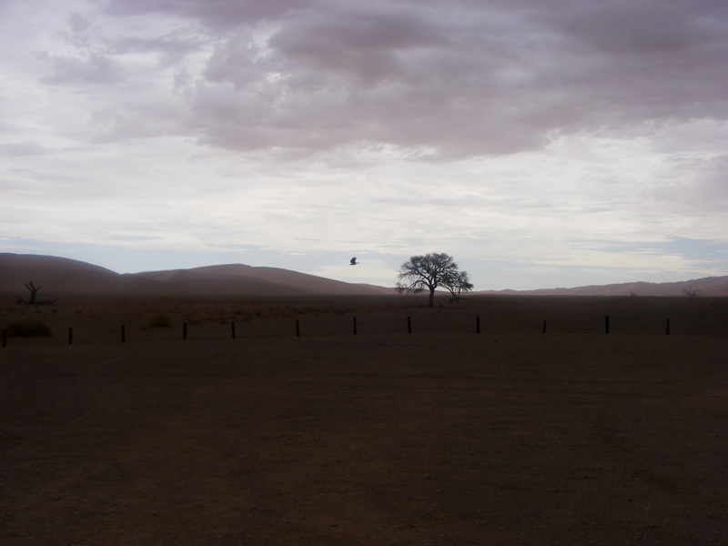 TravellingMan | Sossusvlei
