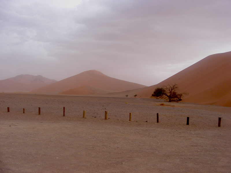 TravellingMan | Sossusvlei