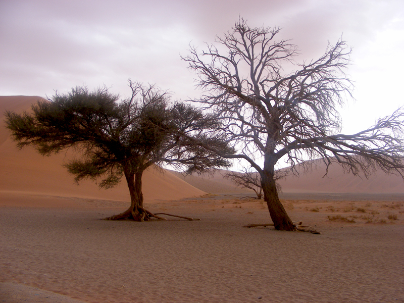 TravellingMan | Sossusvlei
