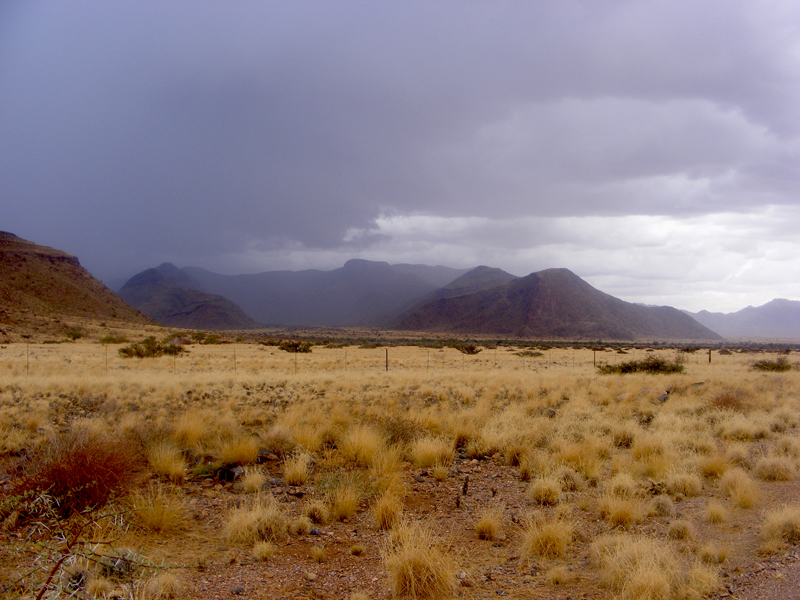 TravellingMan | Sossusvlei