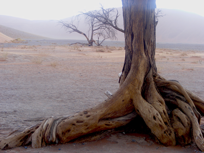 TravellingMan | Sossusvlei
