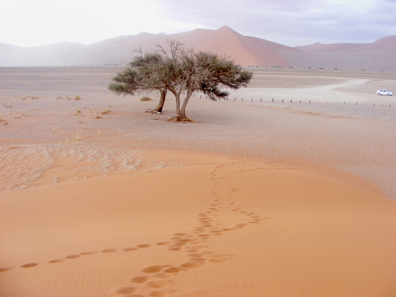 TravellingMan | Sossusvlei
