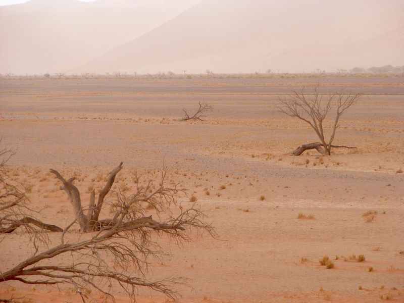 TravellingMan | Sossusvlei
