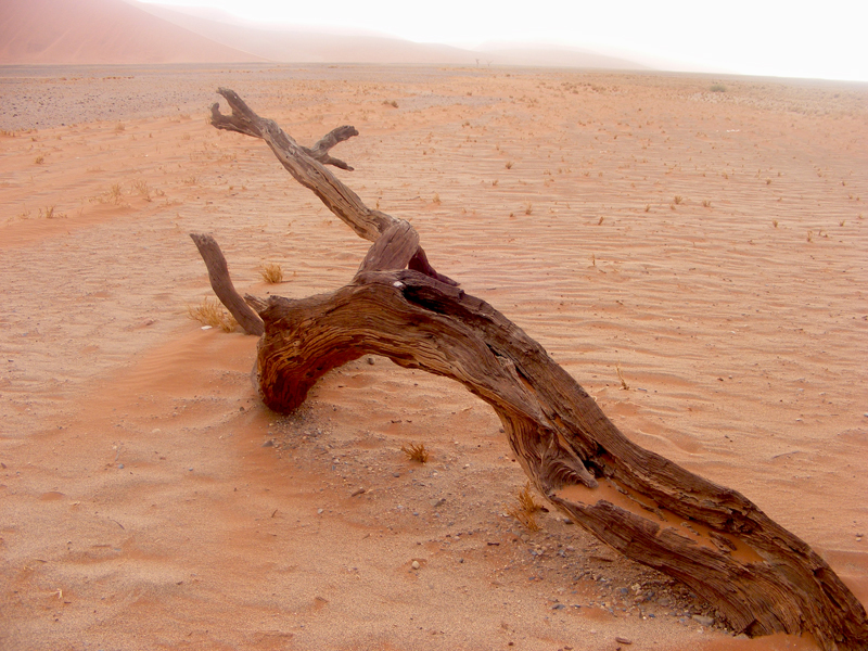 TravellingMan | Sossusvlei
