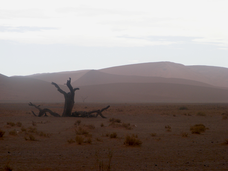 TravellingMan | Sossusvlei