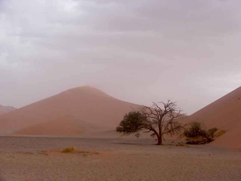 TravellingMan | Sossusvlei