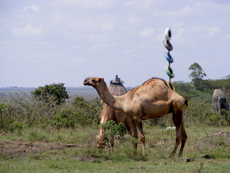 TravellingMan | Nairobi