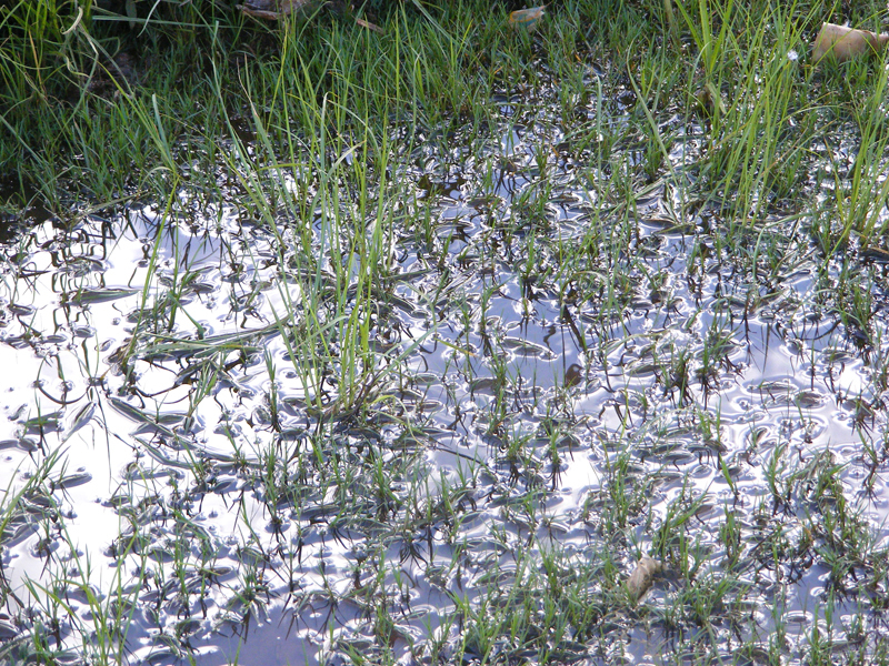 TravellingMan | Nairobi