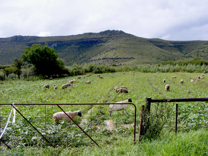 TravellingMan | South Africa: Nieu Bethesda