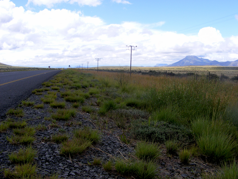 TravellingMan | South Africa: Nieu Bethesda