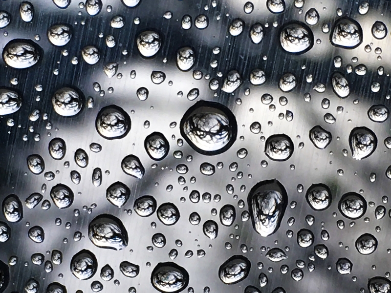 Don’t miss a thing...