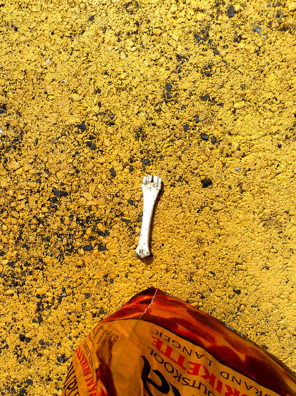 found'bone...
