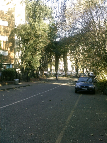 Afternoon in jo'burg