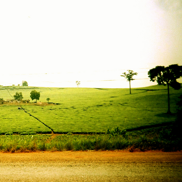 TravellingMan[2]Jinja