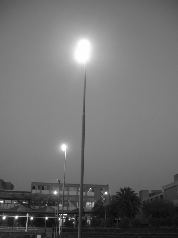 Day Before - The Wrap