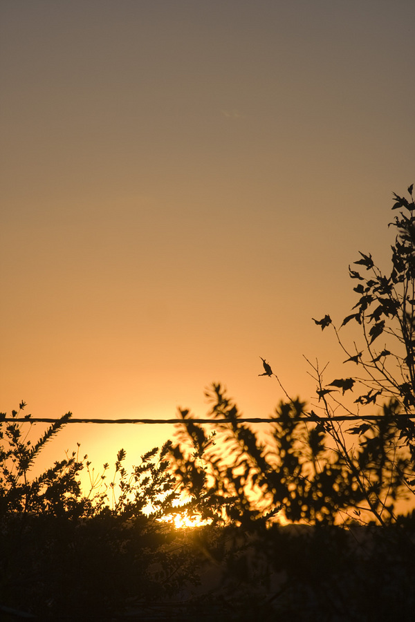 To New(dot)er Beginnings