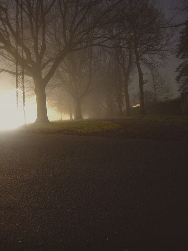 that was morning this is evening