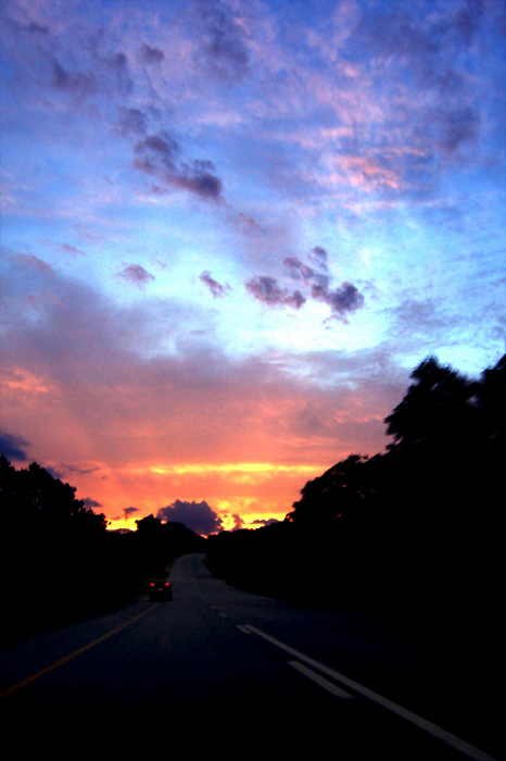 Vertical | Horizon [1]