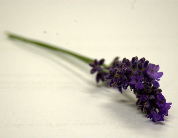 Fading the other way