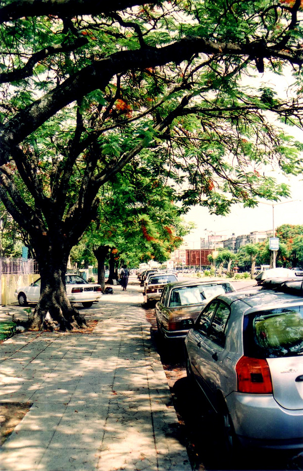 05 Road Tripping Mozambique