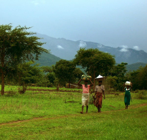 TravellingMan: RoadtripMalawi [2] - Gathering