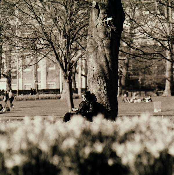 Meditation in St James Park