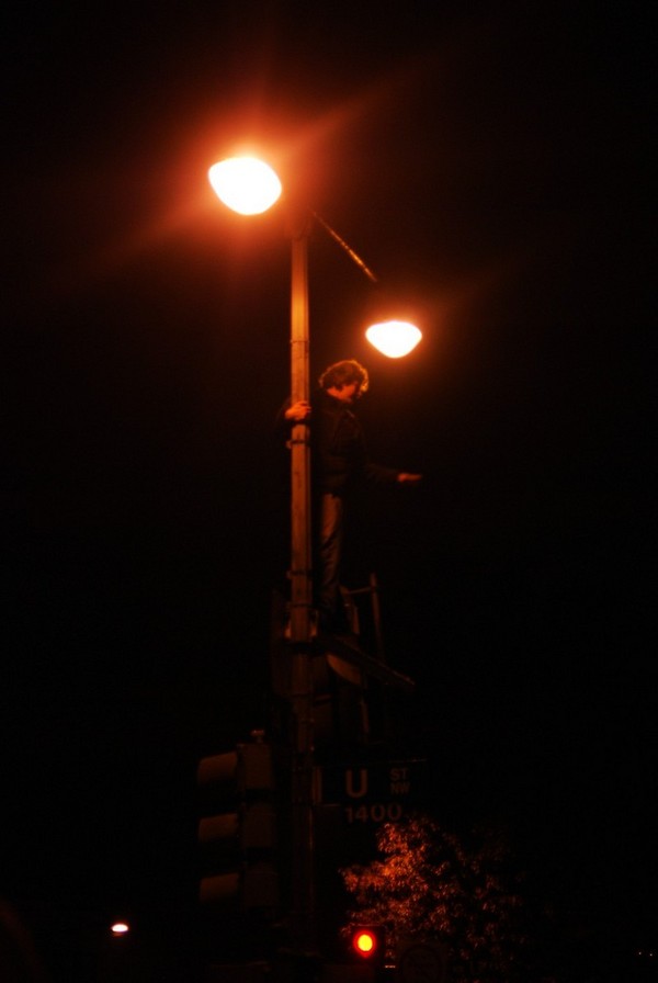 colour so loud it hurts the eye and for relief i must stare at the heavens high above the tree line*