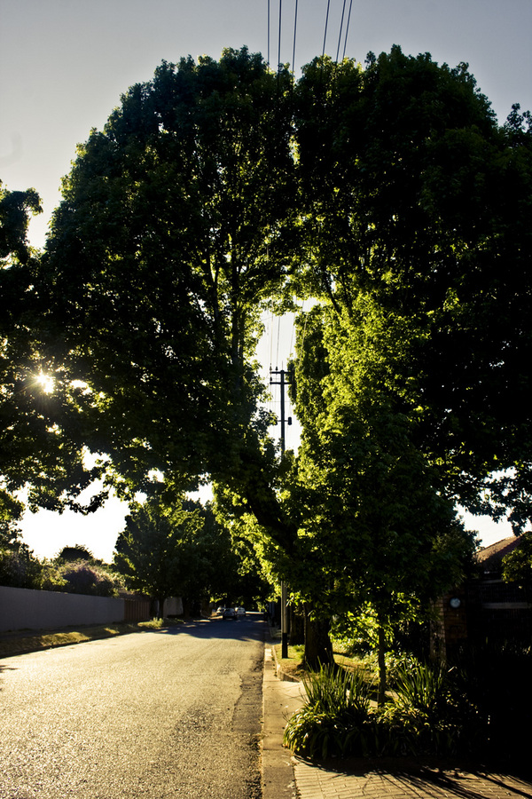 Only two things are infinite, the universe and human stupidity, and I'm not sure about the former*