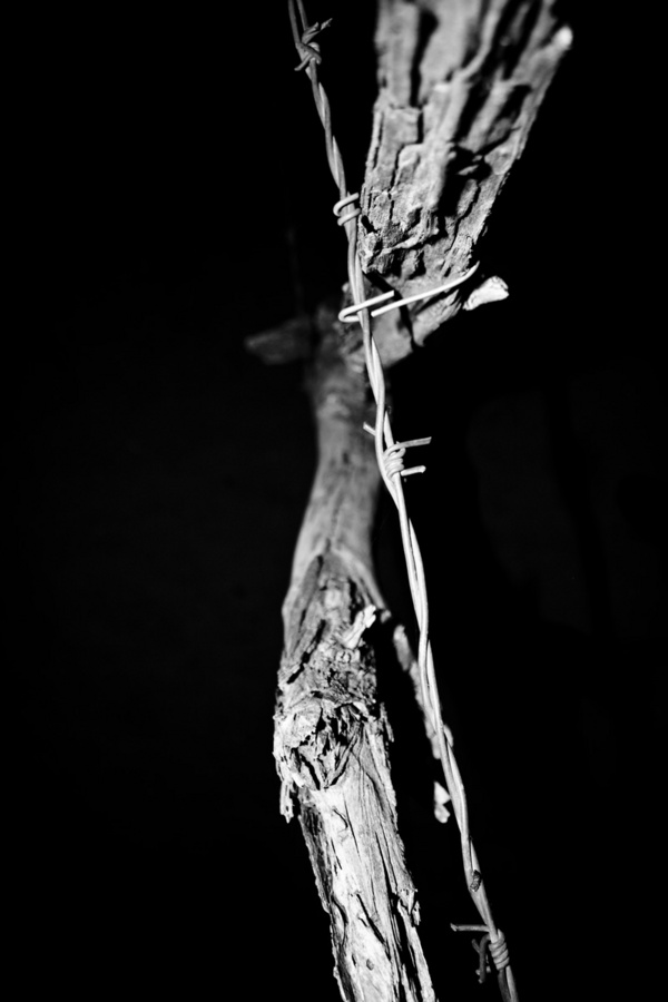 Most people are other people. Their thoughts are someone else's opinions, their lives a mimicry, their passions a quotation*