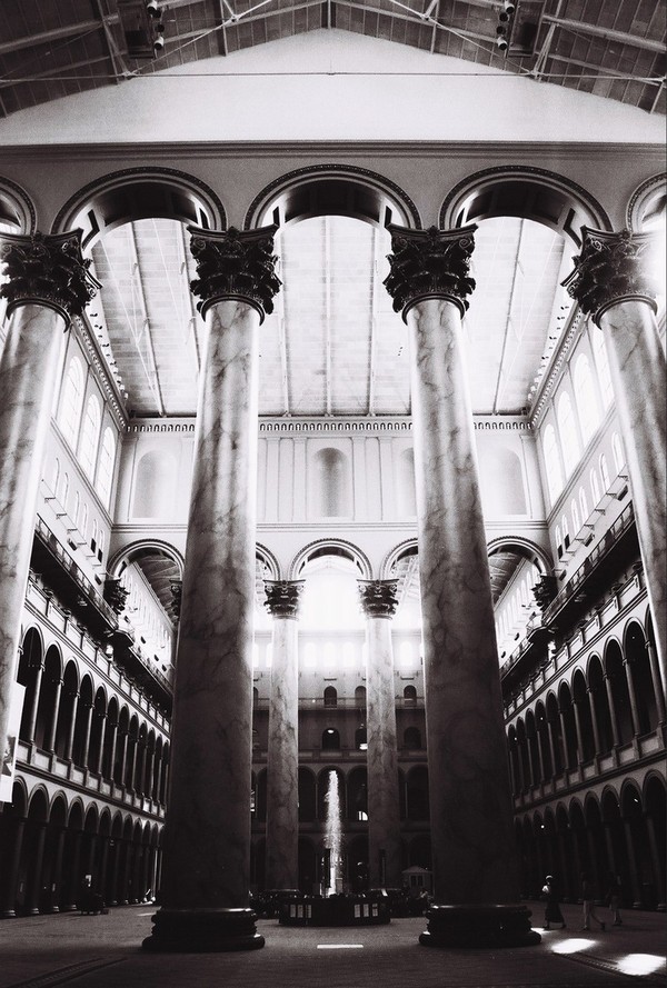 my insects movements vary*