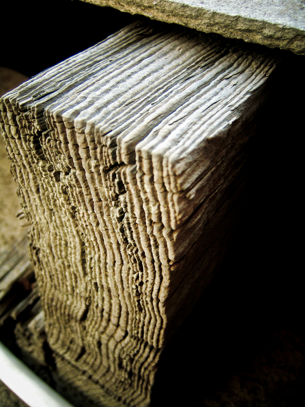 Wood of Block