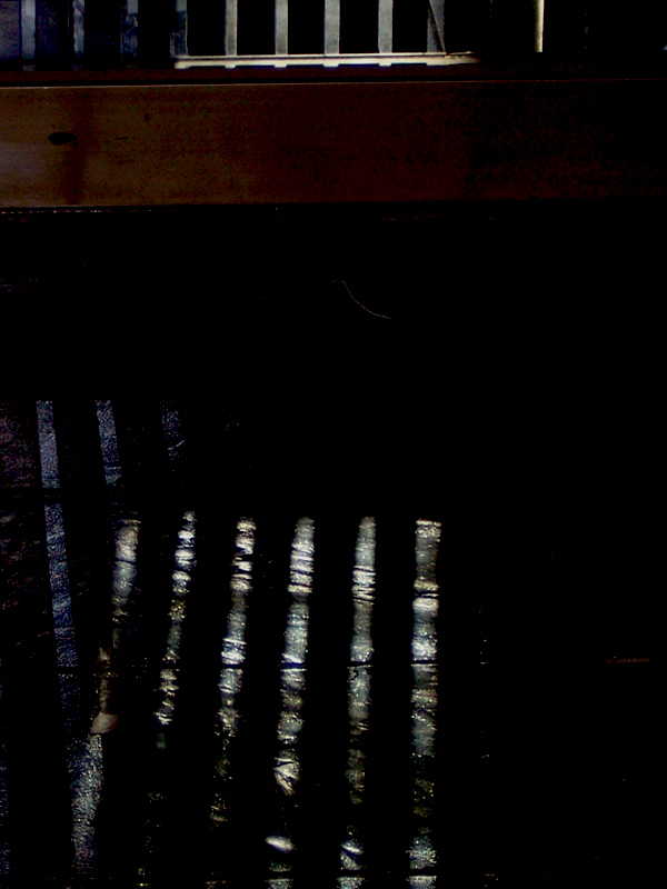 Reflection [4] -- Closed Doors