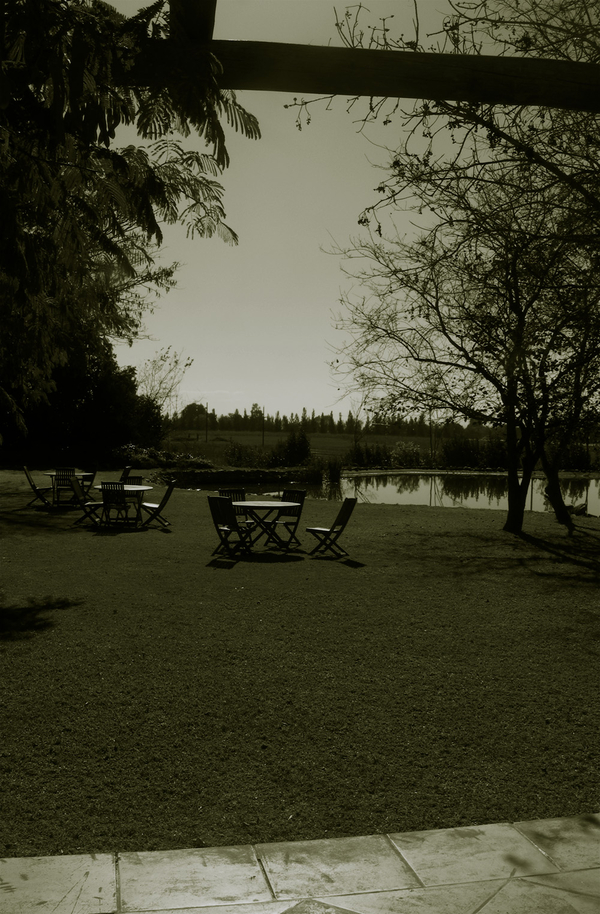 reflection#2- ekudeni