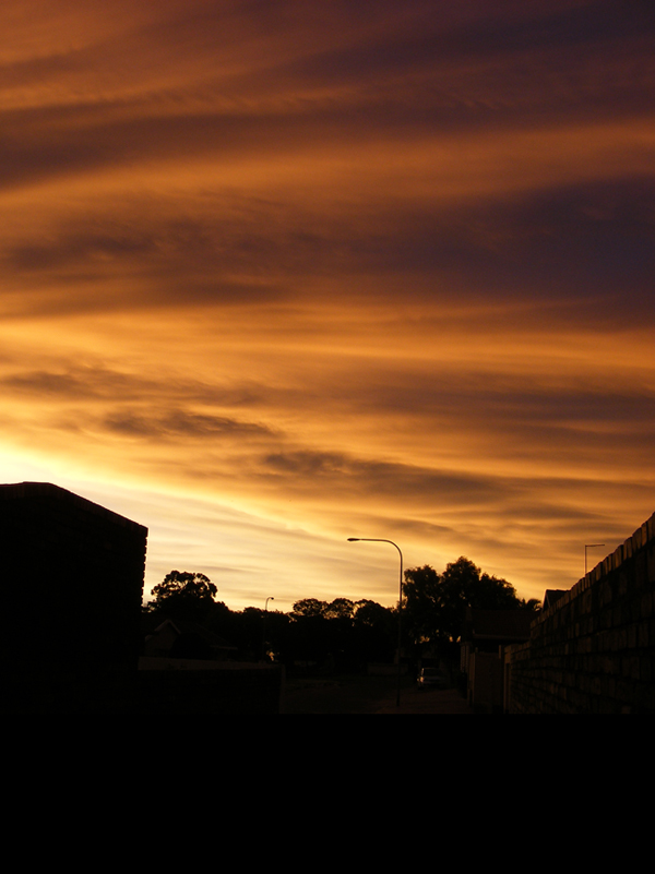 ChasingSun [8]