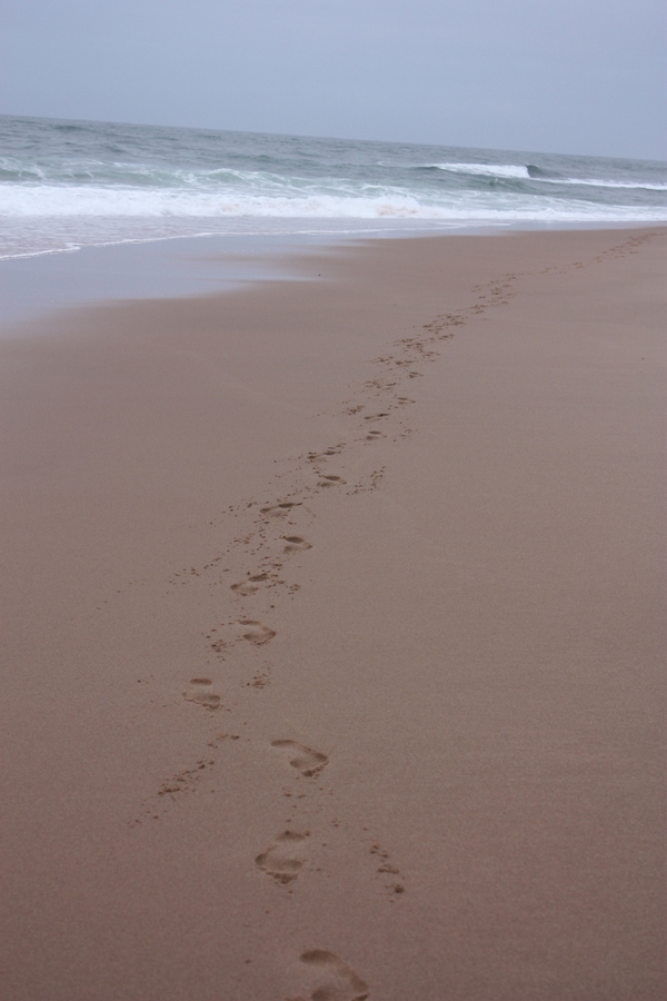 I wish I were back on Holiday