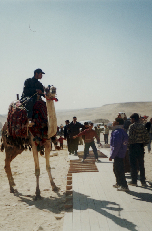 TravellingMan -- Egypt [3]: Camel