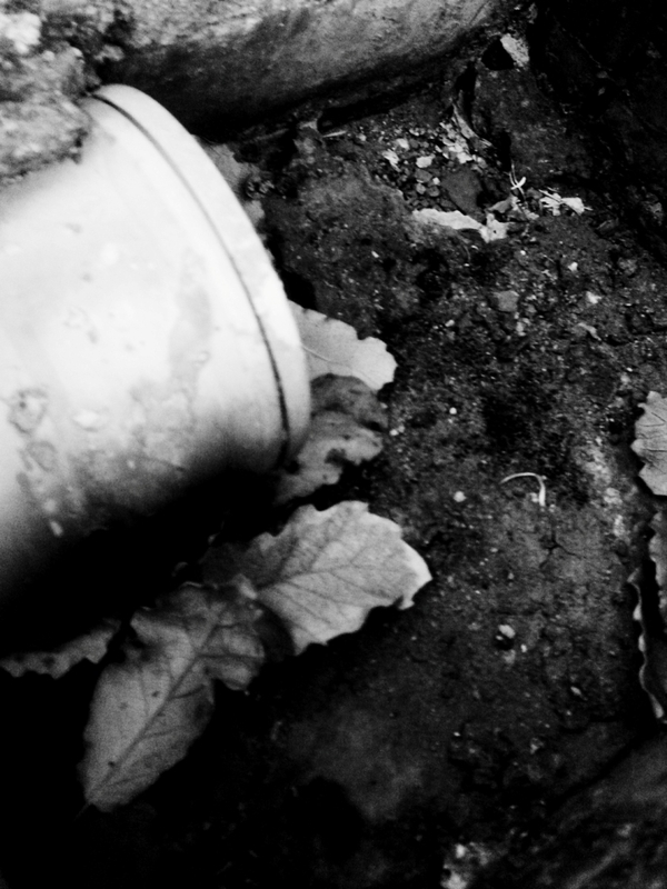 The drain:Where it all Goes down