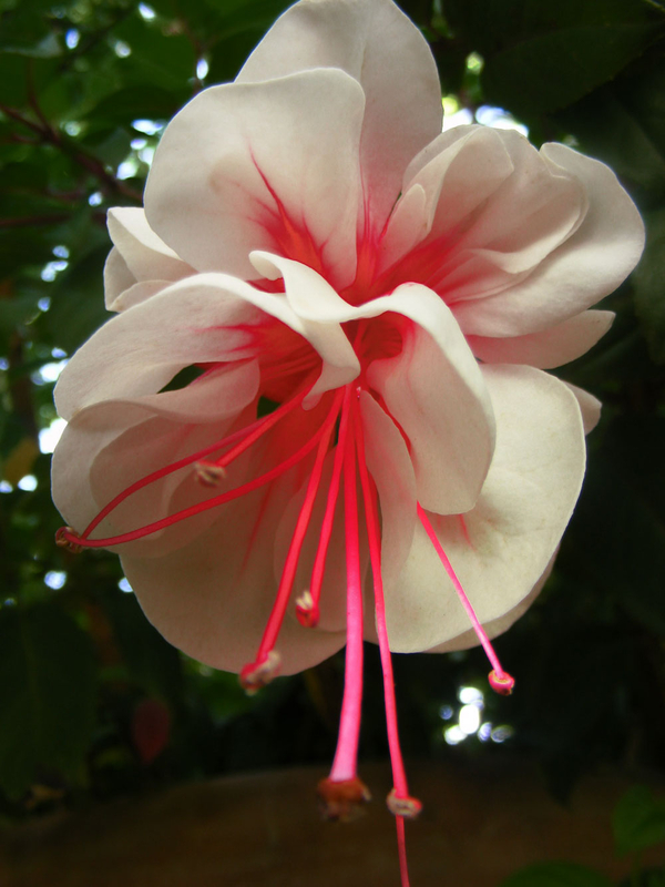 i just had a great day thats all