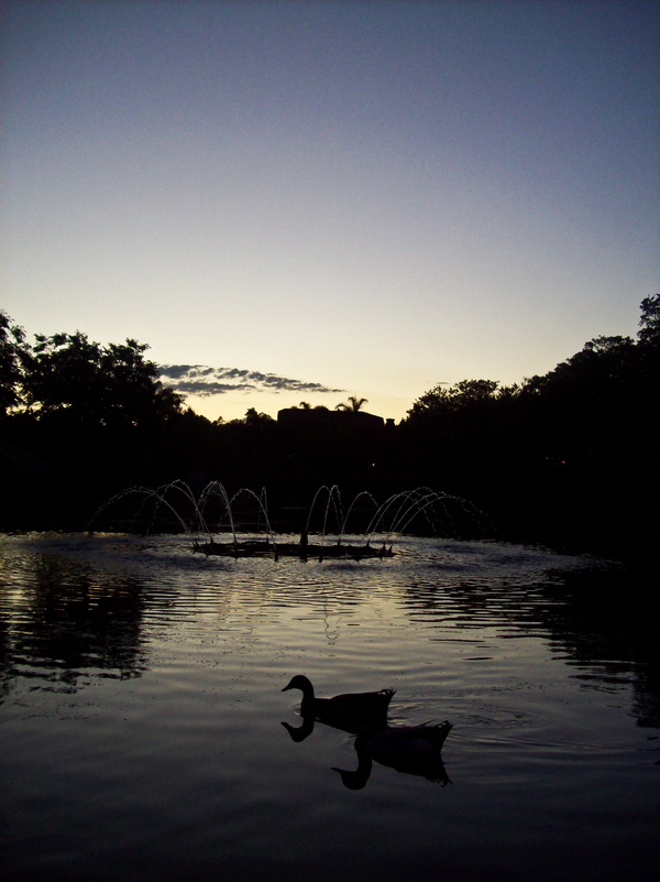 Knock Knock! : My Turn