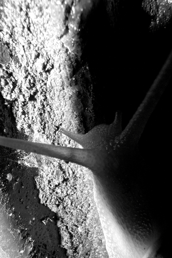 The Frontiers of Things # 01