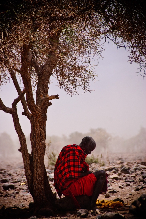 Dignified. Contemplation