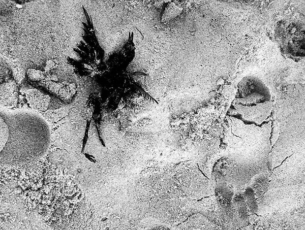 love = life = death.