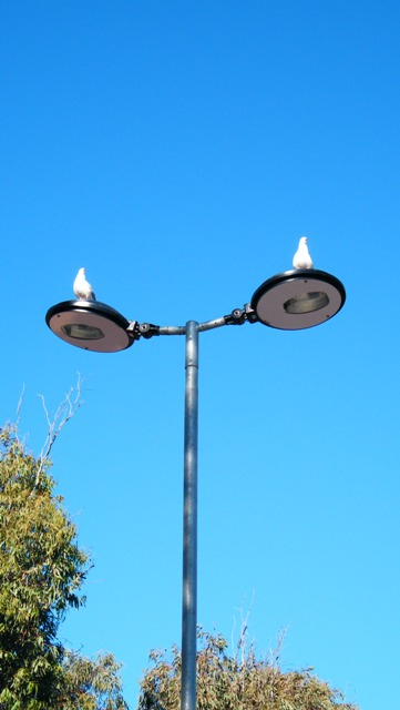 Find your own space #identity