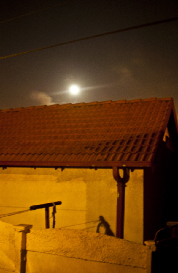 Night Bug [Insomnia]