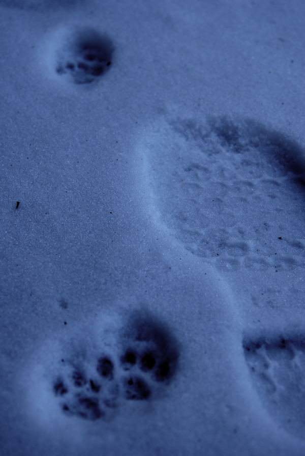 what nature requires is obtainable and within easy reach...*