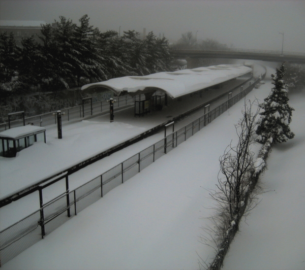 the light that you could never see*